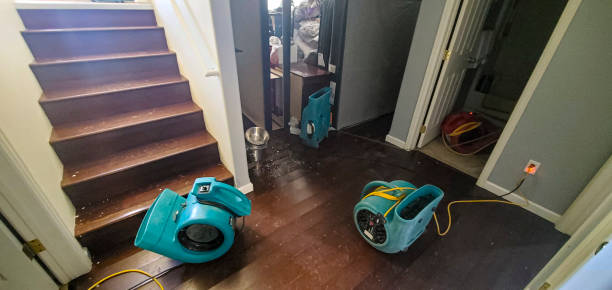 Best Residential water damage restoration  in Marist College, NY