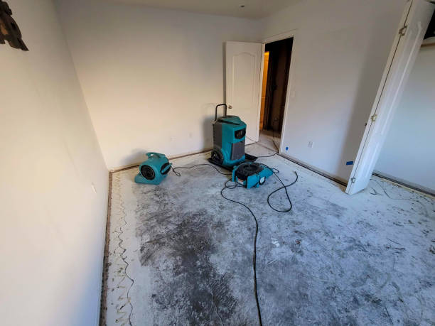 Best Water damage cleanup near me  in Marist College, NY