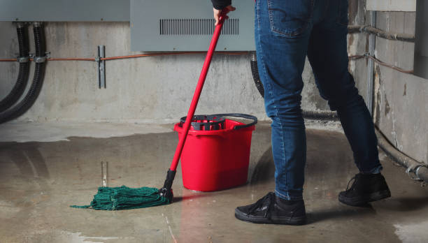 Best Water damage contractors near me  in Marist College, NY