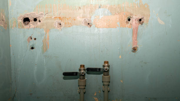 Best Residential water damage restoration  in Marist College, NY