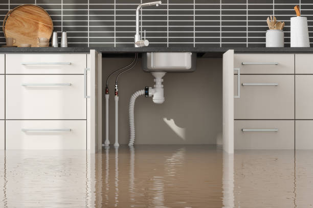 Best Water damage restoration insurance claims  in Marist College, NY