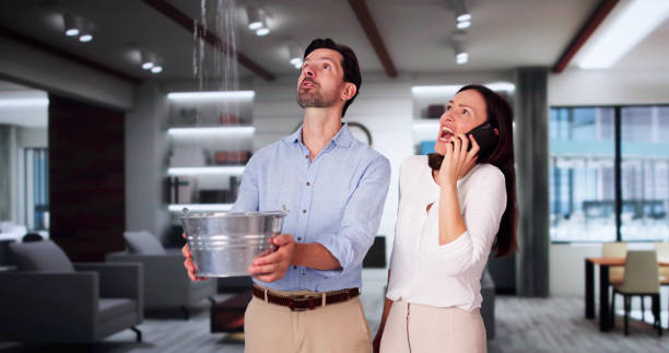 Best Flood damage cleanup  in Marist College, NY